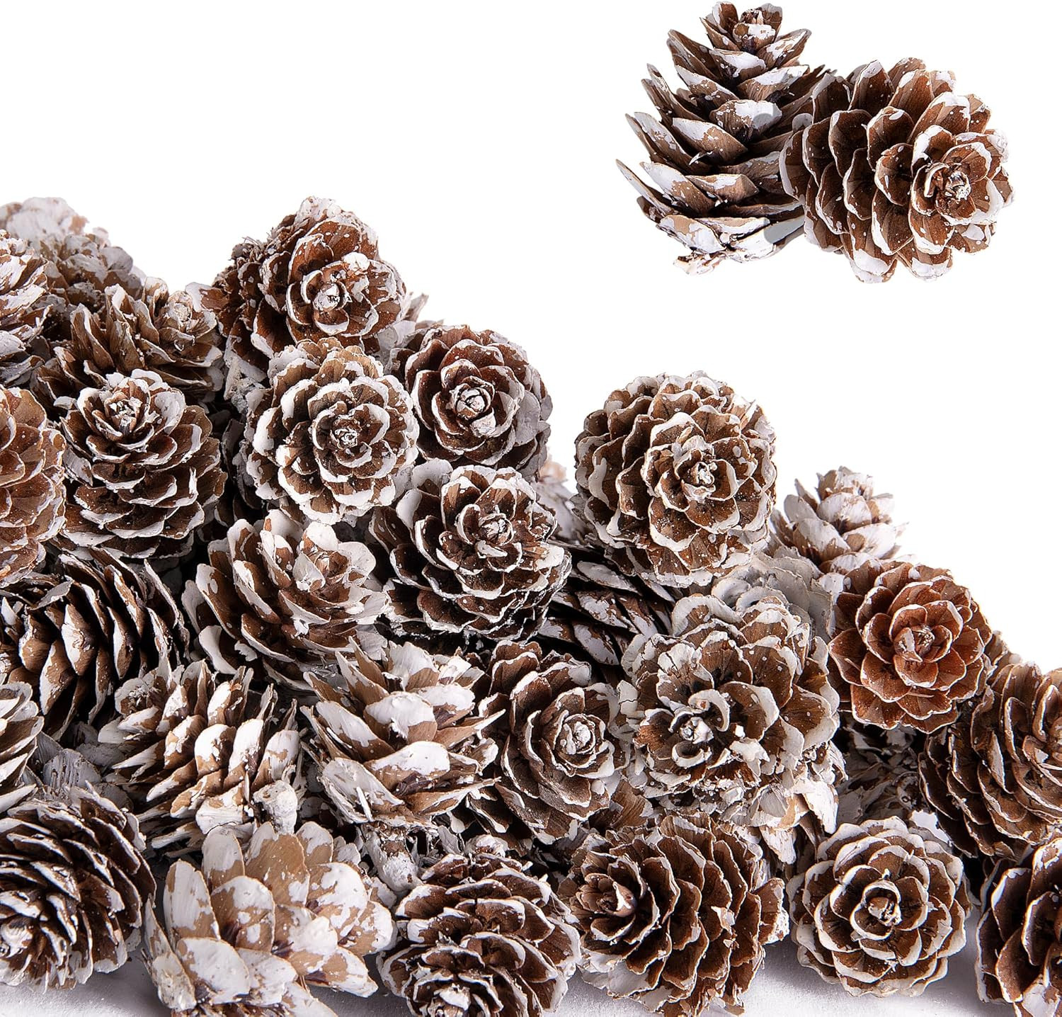 Deloky 150 mini piñas de pino naturales de Navidad, adornos de piñas de nieve de 1 pulgada, mini piñas de nieve de Acción de Gracias para manualidades, rellenos de jarrón, otoño, invierno, hogar | Amazon (US)