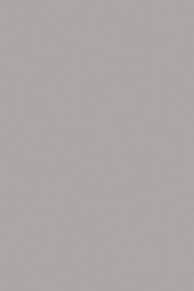 Dove Tale No.267 - 1 Gallon | Anthropologie (US)