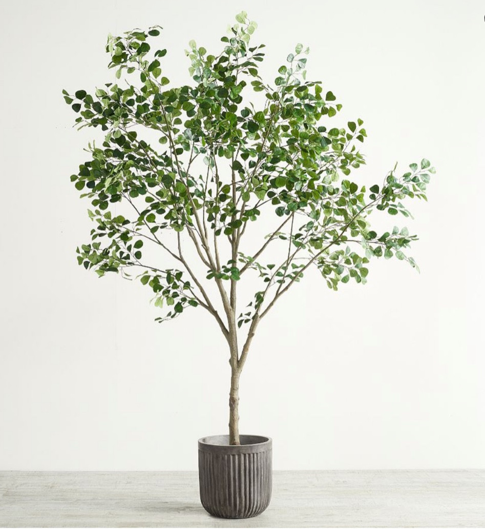 XL faux tree in our living room 

#fauxtree #potterybarn


#LTKhome