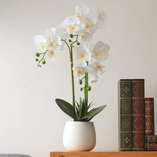 Fake Flowers with Vase, Faux Orchid, Artificial Flowers in Vase, Fake Orchid Fake Plant, Artifici... | Amazon (US)