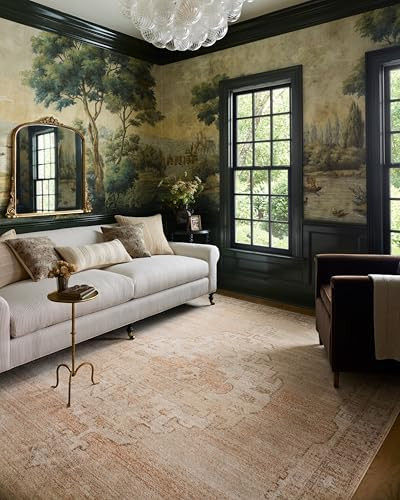 Loloi Chris Loves Julia Palma Collection PLM-02 Spice/Natural 7'-10" x 10' Area Rug Vintage Style... | Amazon (US)