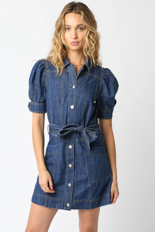 Linda Denim Dress | The Collection TX 