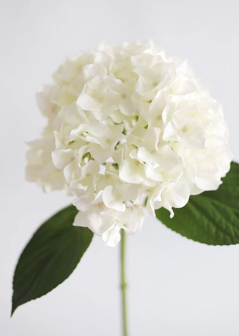 Faux White Hydrangea | Real Touch Hydrangeas & Flowers at Afloral.com | Afloral