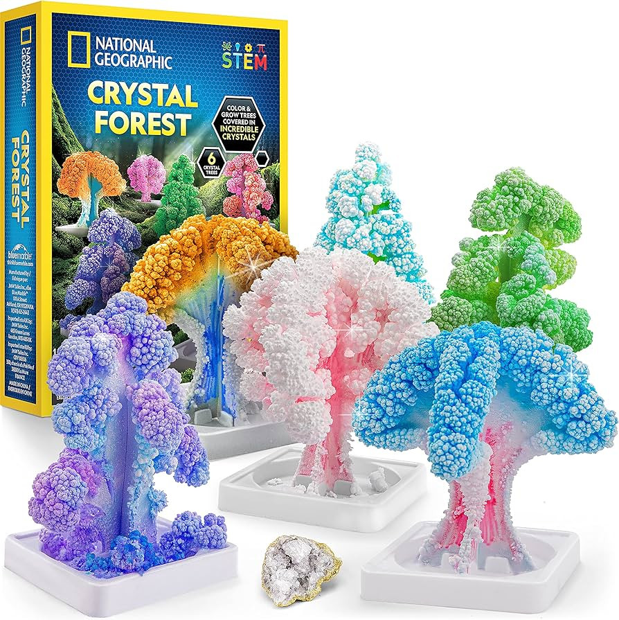 NATIONAL GEOGRAPHIC Craft Kits for Kids - Crystal Growing Kit, Grow 6 Crystal Trees in Just 6 Hou... | Amazon (CA)