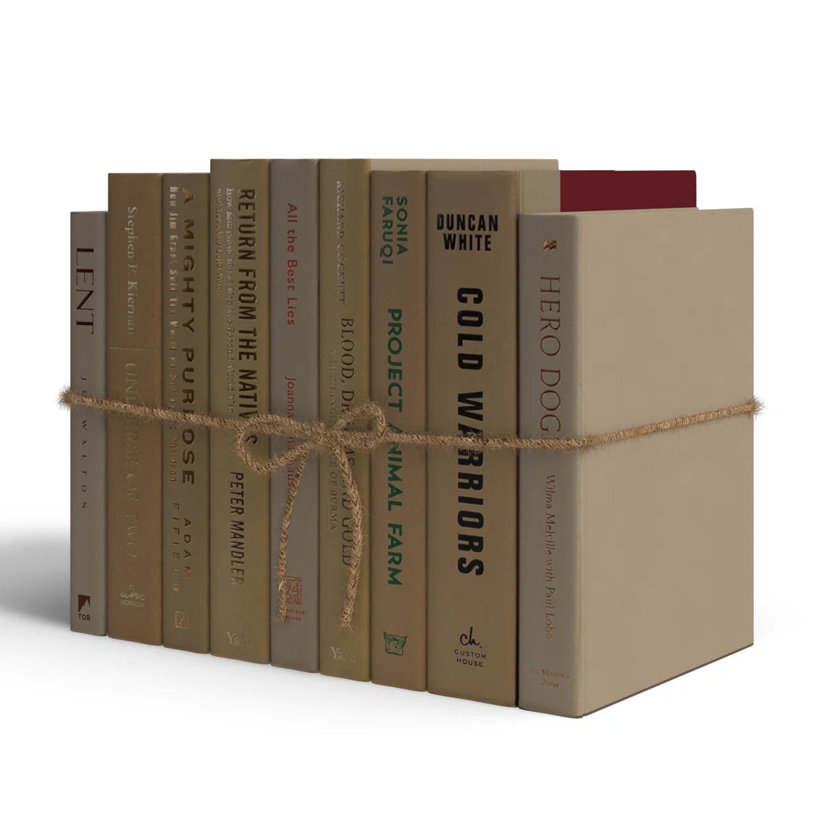 Modern Driftwood Serefina | Wayfair North America