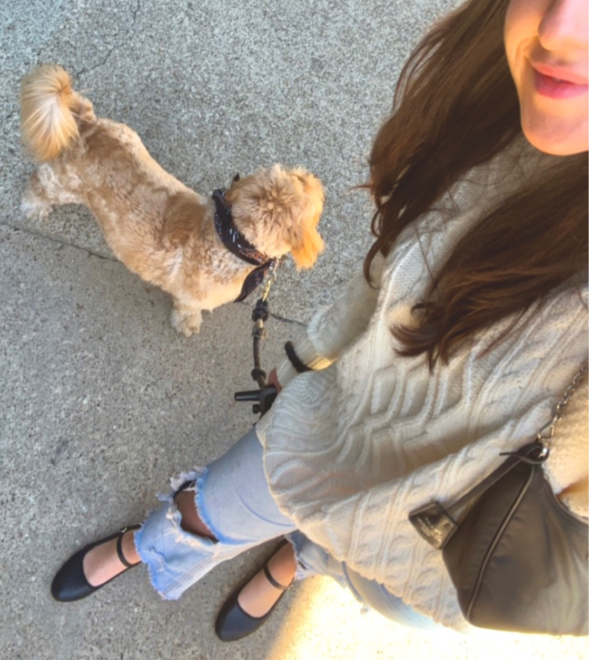 Sunny and 70° outfit ❤️ Perfect outfits for lunch outside - chunky white cable-nit sweater with jeans and black Mary Jane flats (with a strap)! 

Yet another way to style flats this fall - might be one of my favs  

Murphy is wearing his dog banana from Tito’s - perfect for the fall. 

#LTKstyletip #LTKfindsunder100 #LTKSeasonal