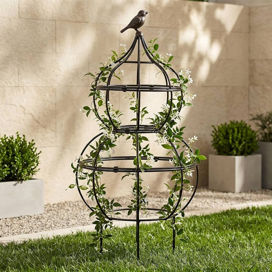 Support for climbing plants, topiaries & houseplants,Easily-assembled multifunctional display sup... | Amazon (US)