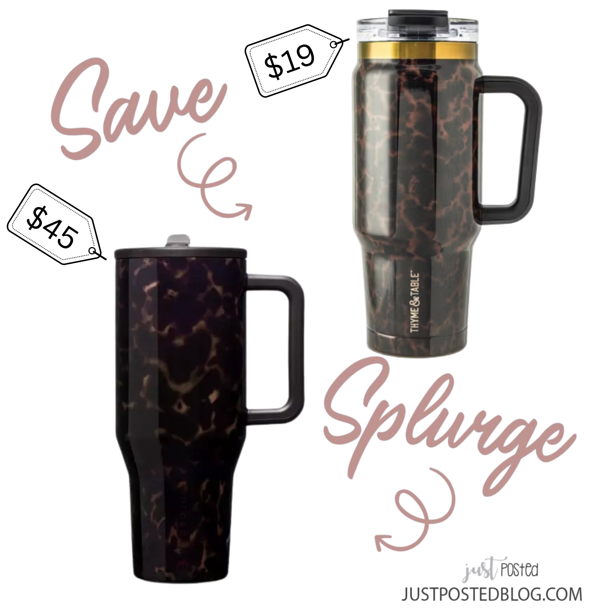 Save vs Splurge on this viral tortoise tumbler 

 