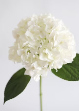 Real Touch Hydrangea in Talc White  - 18" | Afloral
