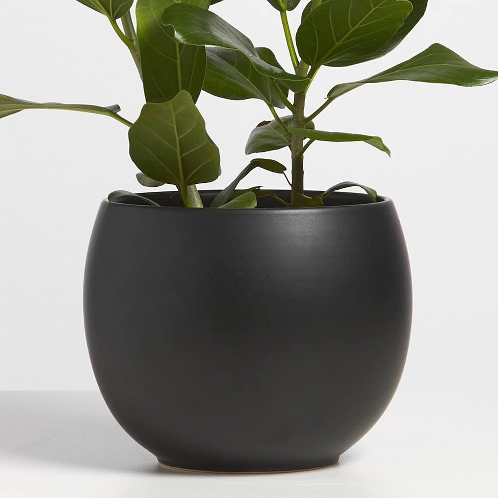 PEACH & PEBBLE 8 Inch Black Ceramic Plant Pot. Sphere Planter for House Plants and Indoor Plants ... | Amazon (US)