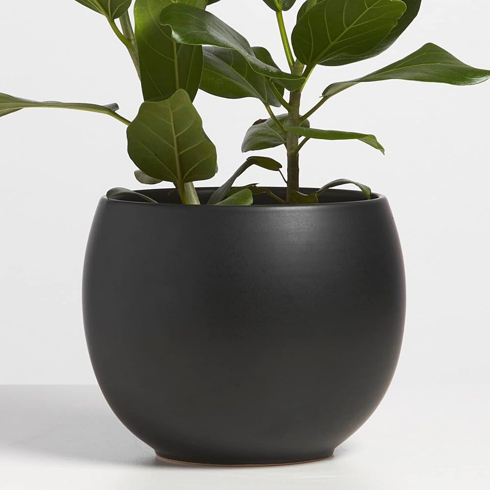 PEACH & PEBBLE 8 Inch Black Ceramic Plant Pot. Sphere Planter for House Plants and Indoor Plants ... | Amazon (US)