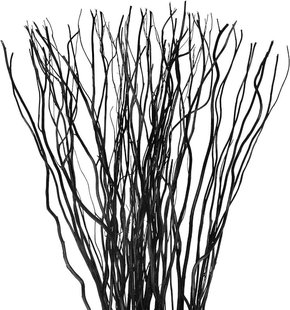 Xinnun 50 Pcs Dried Willow Vase Filler Curly Willow Branches 17 Inch Tree Branches for Decoration... | Amazon (US)