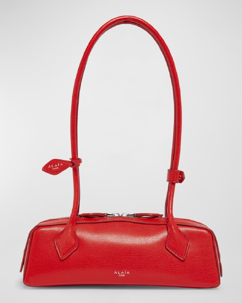 Le Teckel Small Shoulder Bag in Leather | Neiman Marcus
