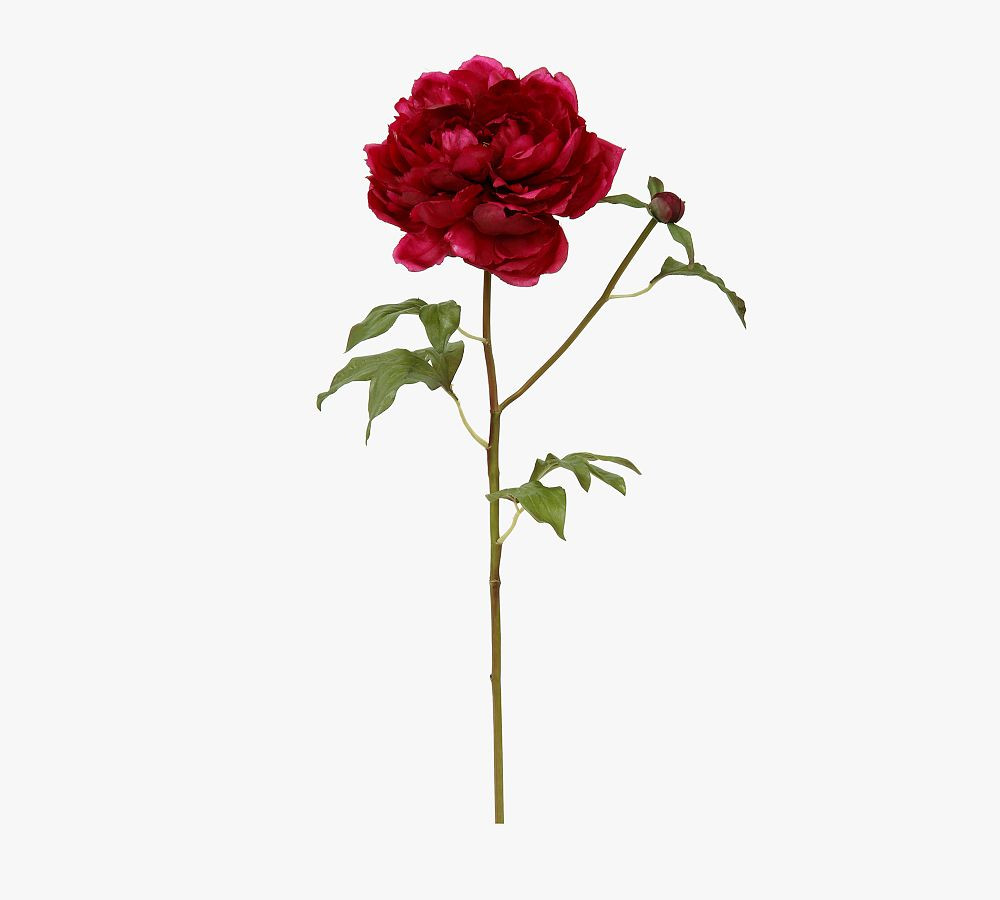 Faux Peony Dozen Stems | Pottery Barn (US)