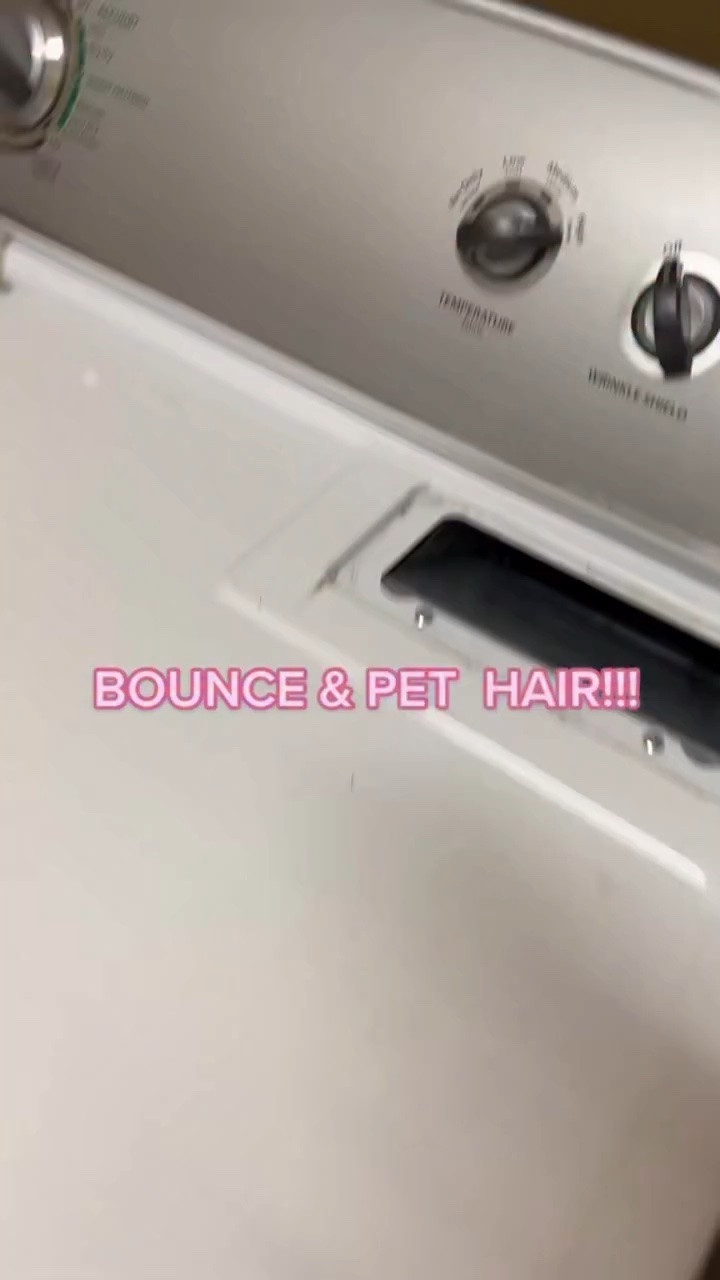 PET HAIR!! #doghairremoval #doghairdontcare #doghaircut #alldogsmatter #cleaninglady