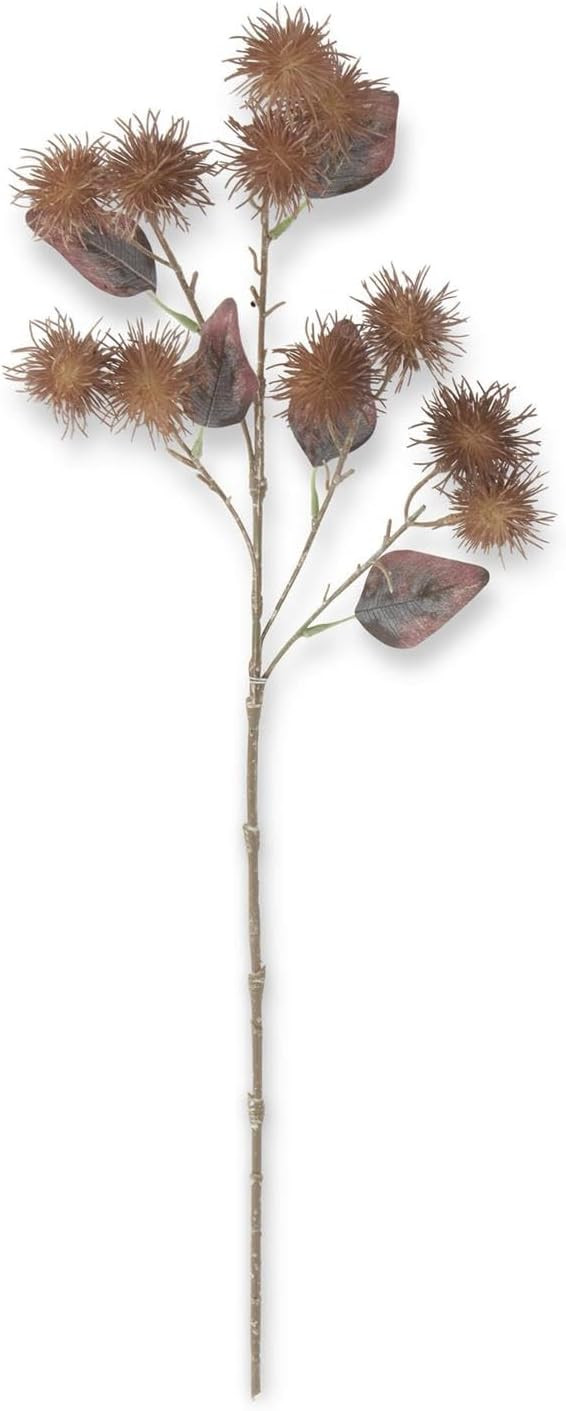 Light Brown Thistle Stem | Amazon (US)