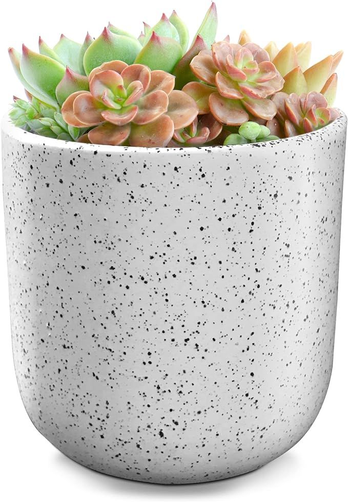 Flower Pot - Indoor Planter, 4.6 Inch White Ceramic Speckle Pot for Succulents, Plants, Cactus | Amazon (US)