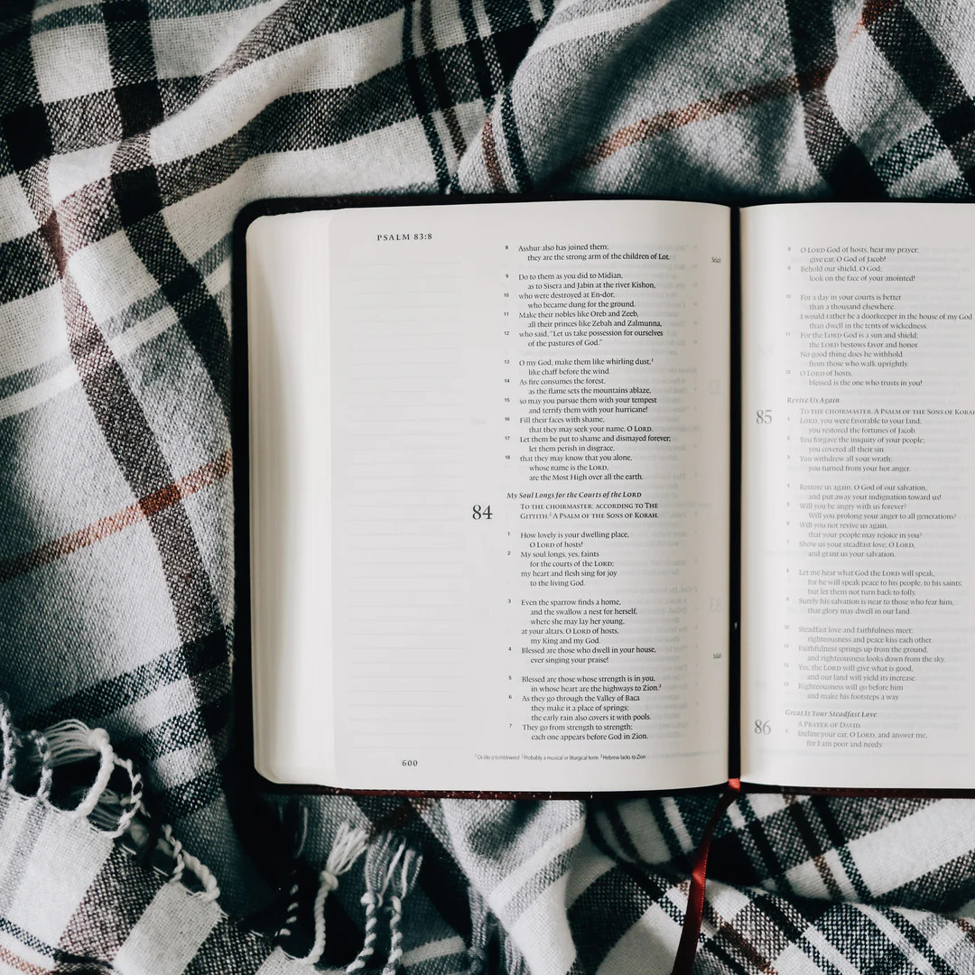 ESV Single Column Journaling Bible - Chestnut Leaves | The Daily Grace Co.