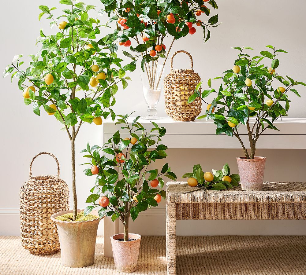 Faux Orange Branch Bundle | Pottery Barn (US)