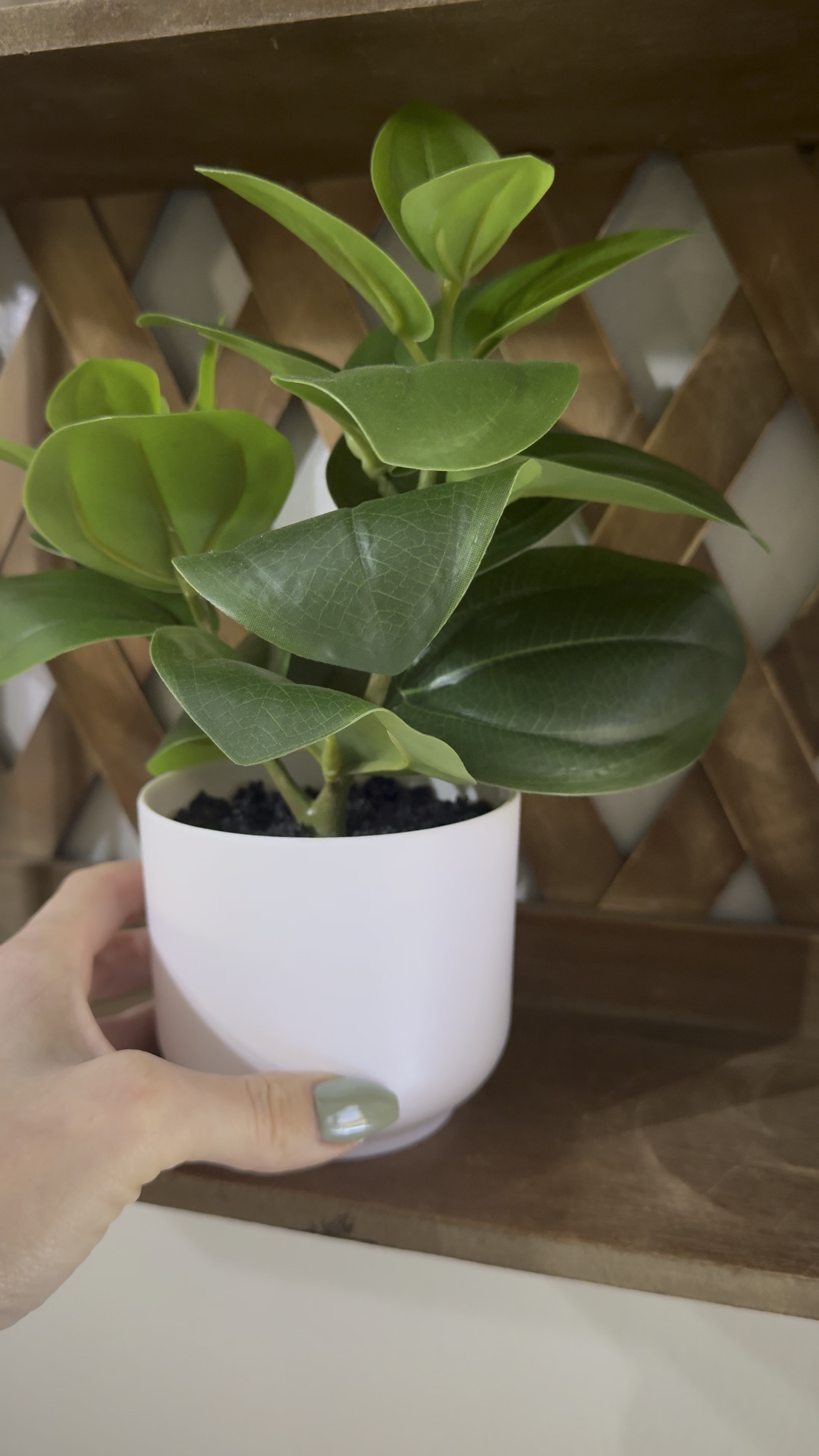 Target Home Decor finds!! $5.00 artificial plant 

#LTKHome #LTKFindsUnder50 #LTKSaleAlert