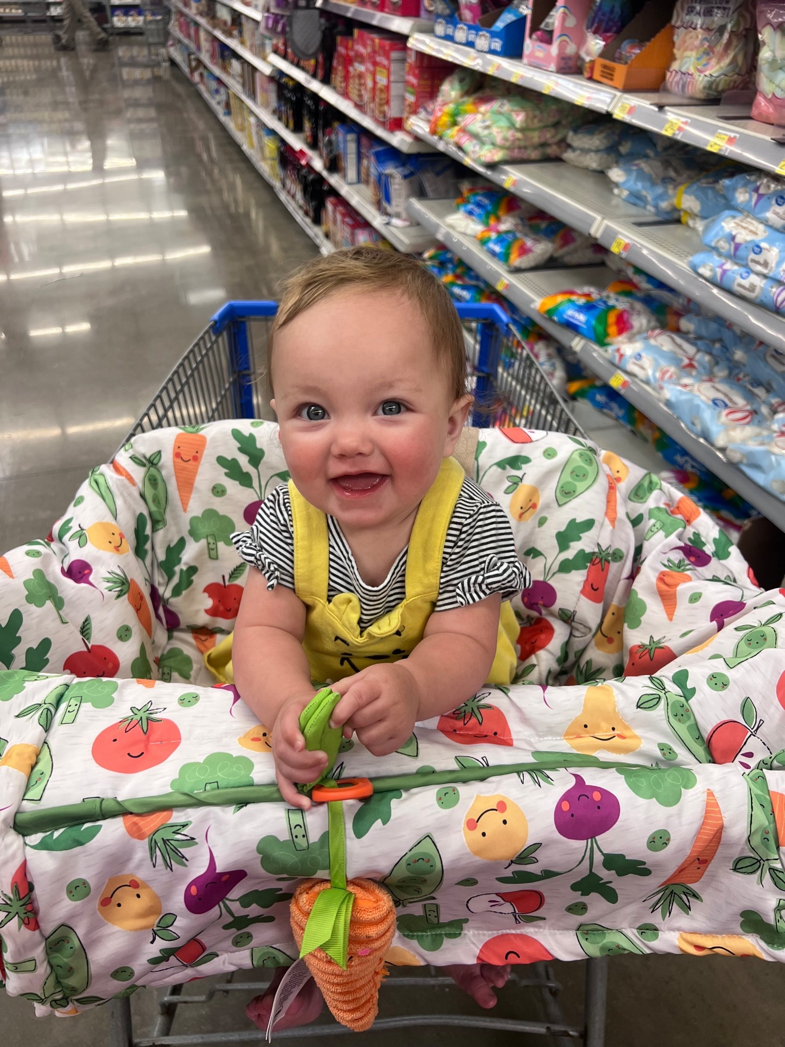 Cart cover 

#LTKKids #LTKFamily #LTKBaby