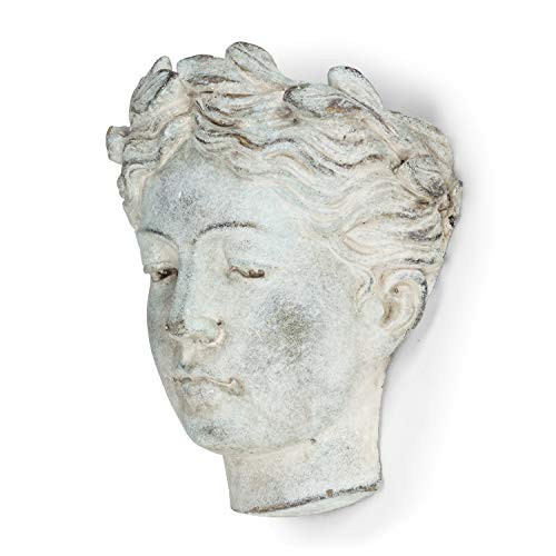 Abbott Collection Goddess Head Wall Planter - Large Cement Indoor and Outdoor Planter Pot - Grecian Woman Statue Head Planter for Flowers and Succulents (Grey, 3.5" Opening) | Amazon (US)