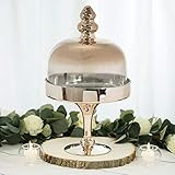 Wedding Venue Shop"Cake Dome and Stand - 19"" | 6-in-1 Dome Set | Champagne | 1 Pc. | Amazon (US)