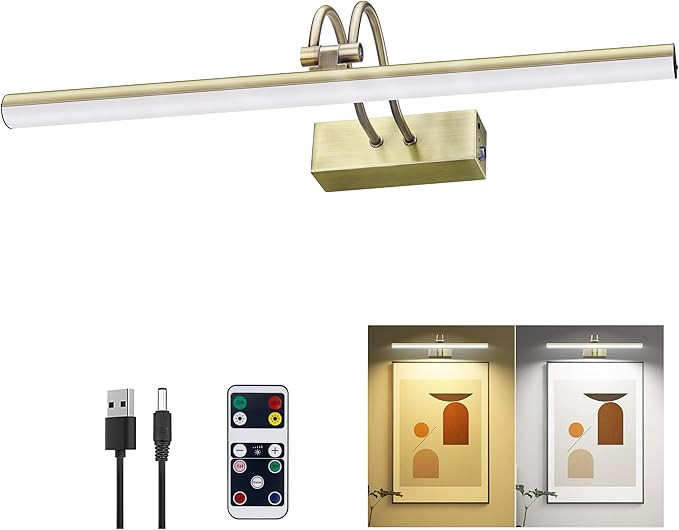 Picture Light,16in Wireless Battery Wall Lighting,Remote Art Lights for Paintings with Timer and ... | Amazon (US)