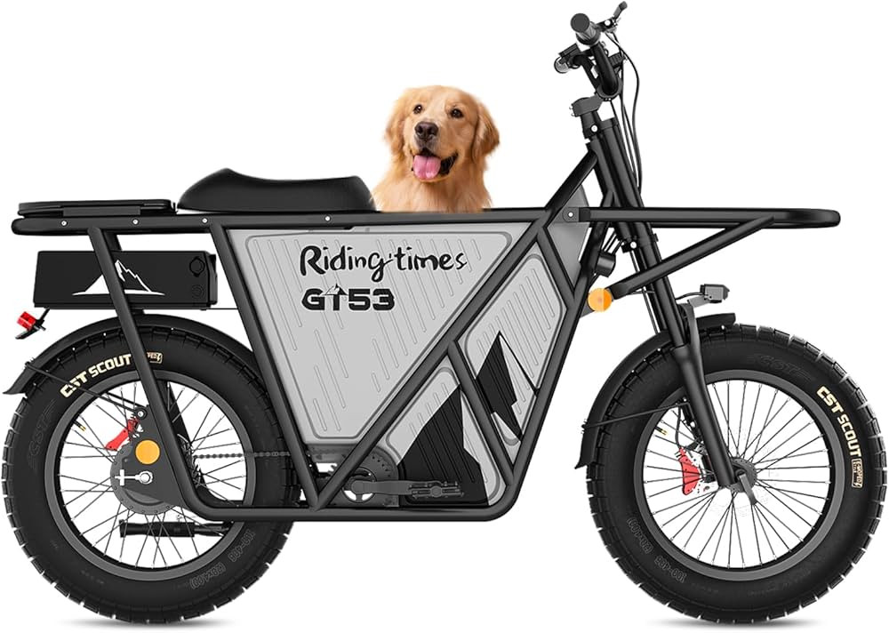 Riding'times GT53 Electric Cargo Bike for Adults 550LBS, 2000W Cargo Ebike, 1123WH Removable Batt... | Amazon (US)