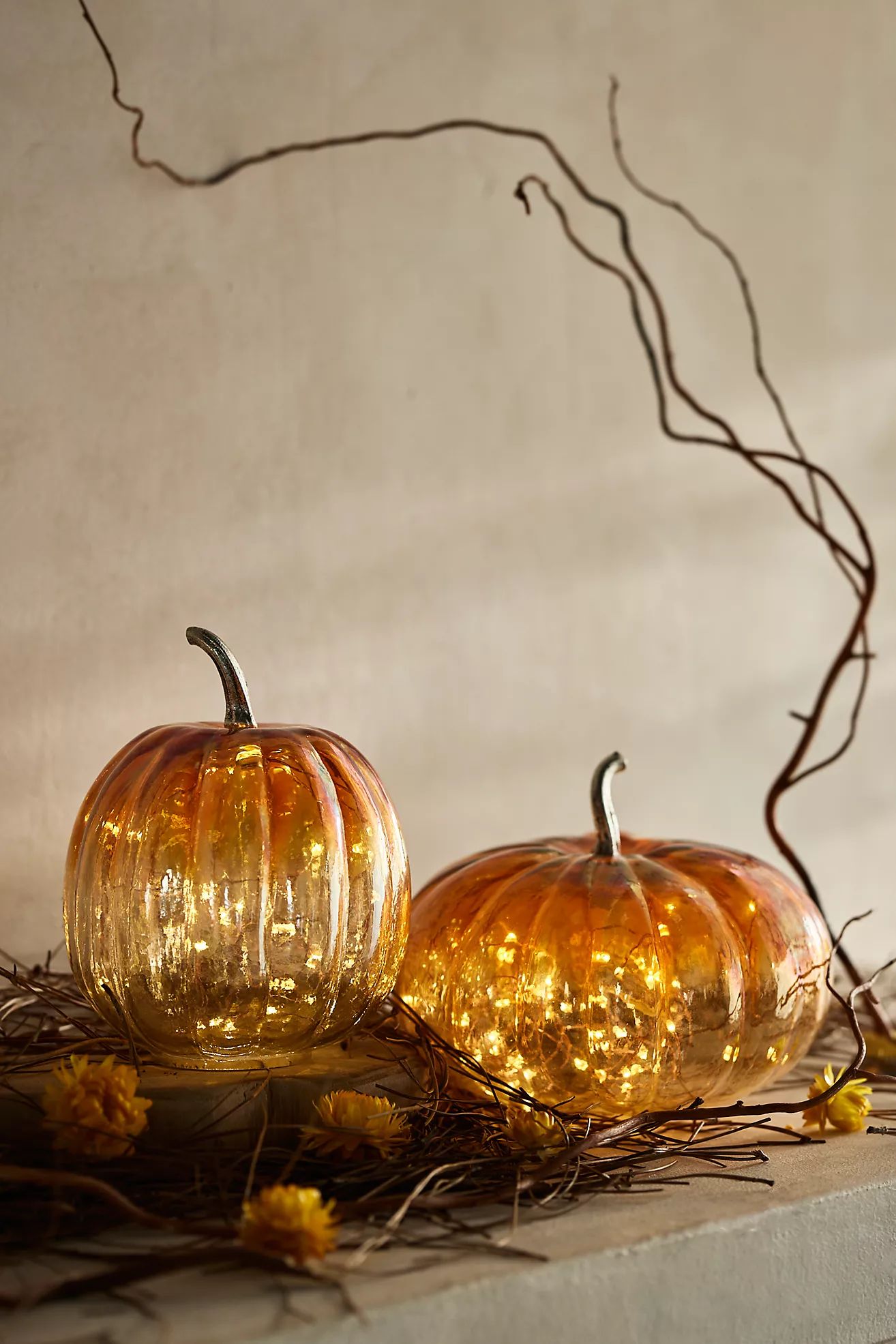 Glass Pumpkin, 6” | Anthropologie (US)