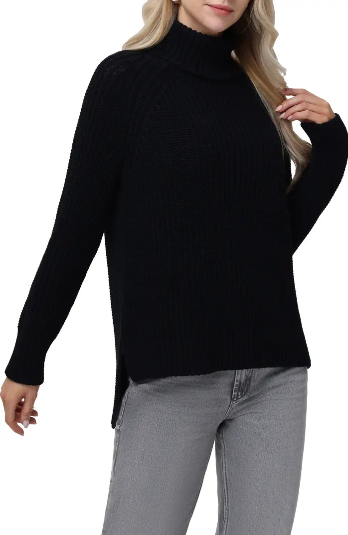 Stella Cotton Turtleneck Sweater | Nordstrom