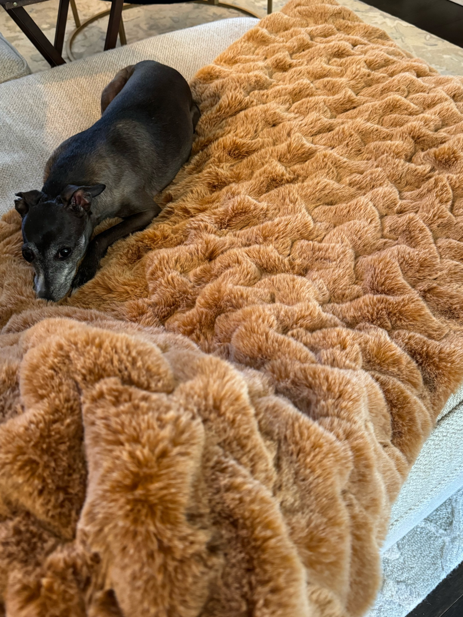 Luxury meets cozy!!!  This throw is super high quality and feels ahhhh-mazing!!!  Comes in several colors!

#LTKhome #LTKGiftGuide #LTKfamily