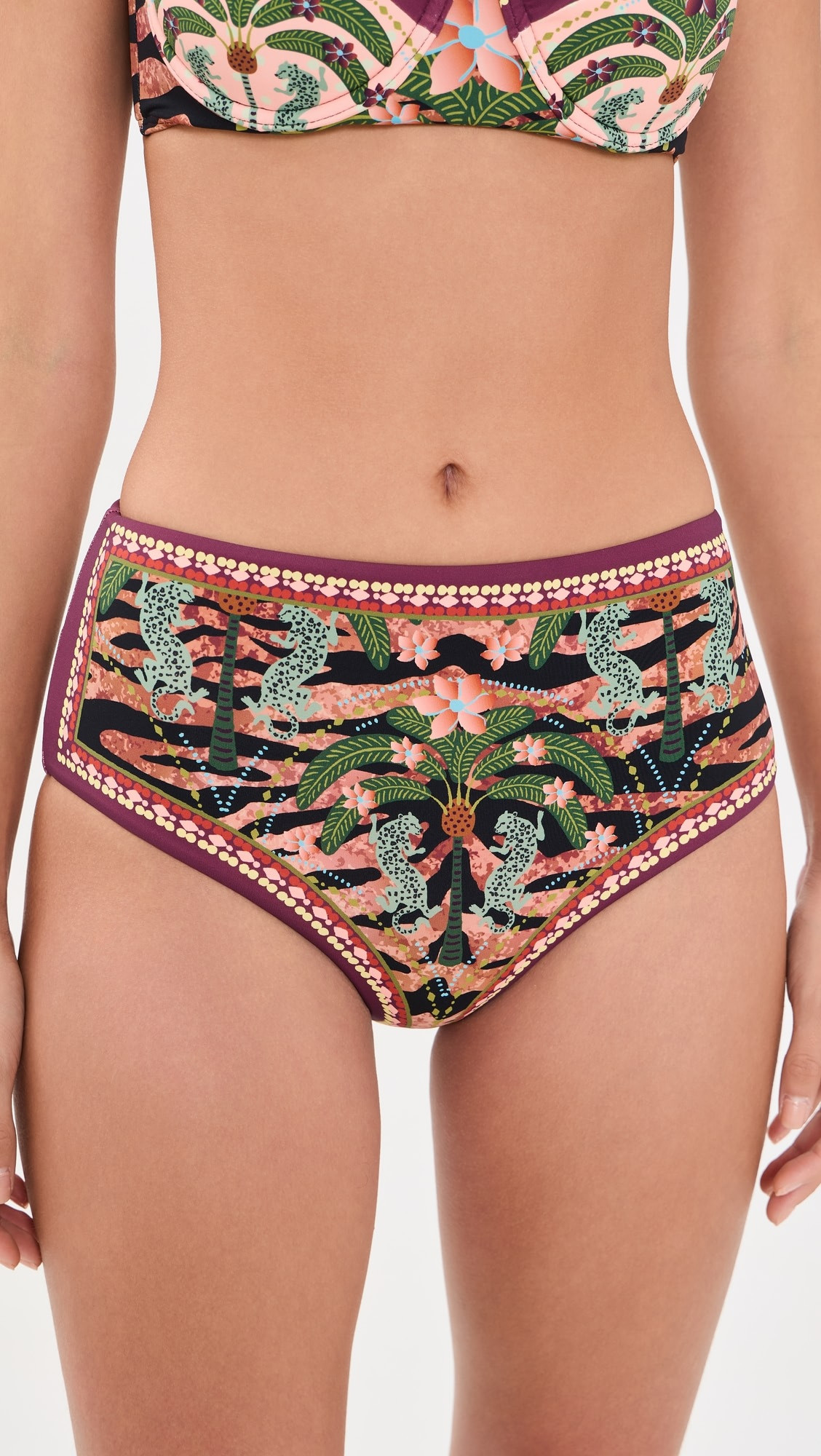 Beach Riot Marcella Bikini Bottoms | Shopbop | Shopbop