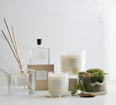 Signature Scent Collection - Seagrass & Verbena | Pottery Barn (US)