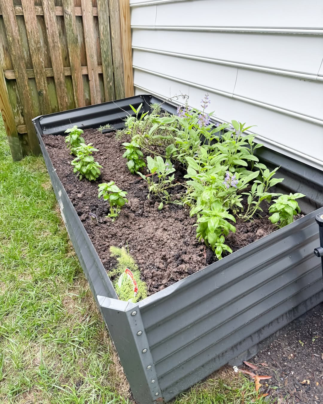 90-day low price on my raised garden bed!! With sides this tall, those pesky  don't stand a chance.

Gardening essentials
Raised garden bed tools
Outdoor planting supplies
Beginner gardening must haves
Backyard garden ideas
Watering and hose tools
Garden organization hacks
Vegetable garden supplies
Patio gardening essentials

#LTKSeasonal #LTKHome #LTKSaleAlert