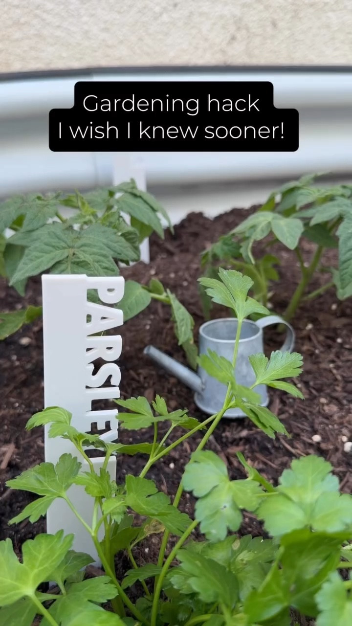 I recently learned this little gardening hack and it makes transplanting vegetables a ton easier! 🌱And my son thinks it’s so much fun 🥰 so we tried it in our raised garden beds.

🌱 Instead of digging a random hole and hoping it’s the right size, you use the nursery pot to create the perfect one.

Here’s how I do it:
	1.	Dig a hole where you want your plant to go
	2.	Place the empty nursery pot into the hole
	3.	Push soil around the pot so it forms a snug shape
	4.	Pull the pot out
	5.	Take the plant out of the container and place it into the perfectly sized hole

It fits exactly right and helps keep the roots from getting disturbed!

Simple little tricks like this make gardening so much more enjoyable.

Have you ever tried planting this way?

#gardeninghacks #gardeningtips #smallspacegardening

#LTKHome #LTKSeasonal #LTKmomlife