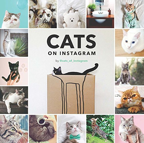 Cats on Instagram | Amazon (US)