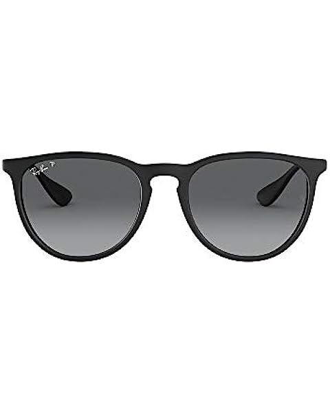 Ray-Ban RB4171 Erika Sunglasses + Vision Group Accessories Bundle | Amazon (US)