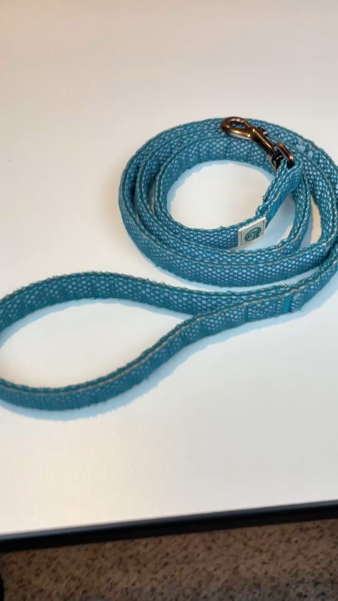 Love this reflective leash.  My doxies and I do a lot of nighttime walkies in the evenings.  This reflective leash helps lights us up and keep my pups safe when it’s dark outside. 🐾🌛

#LTKHome #LTKPets #LTKActive