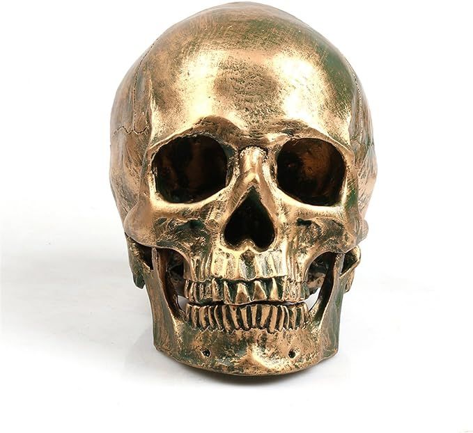 ECYC 1:1 Resin Human Skull Model Halloween Props Home Decorations High Fidelity Bronze Skulls | Amazon (US)