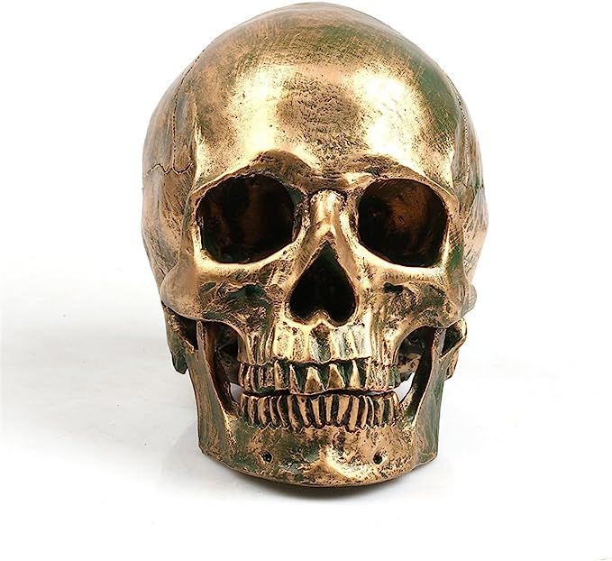 ECYC 1:1 Resin Human Skull Model Halloween Props Home Decorations High Fidelity Bronze Skulls | Amazon (US)