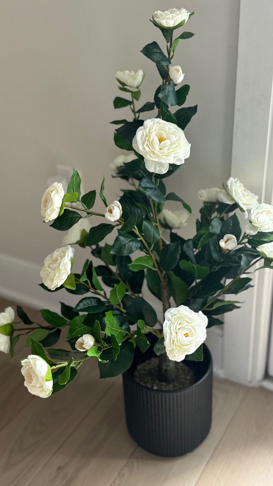 #LTKHome #LTKSeasonal #LTKMothersDay