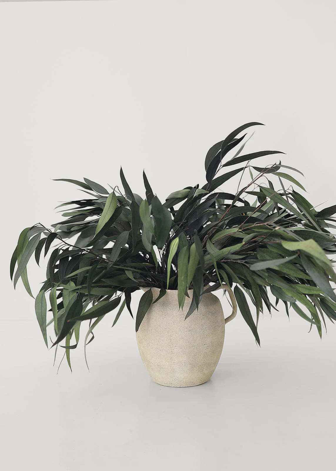 Weeping Willow Eucalyptus | Dried & Preserved Leaves | Afloral.com | Afloral