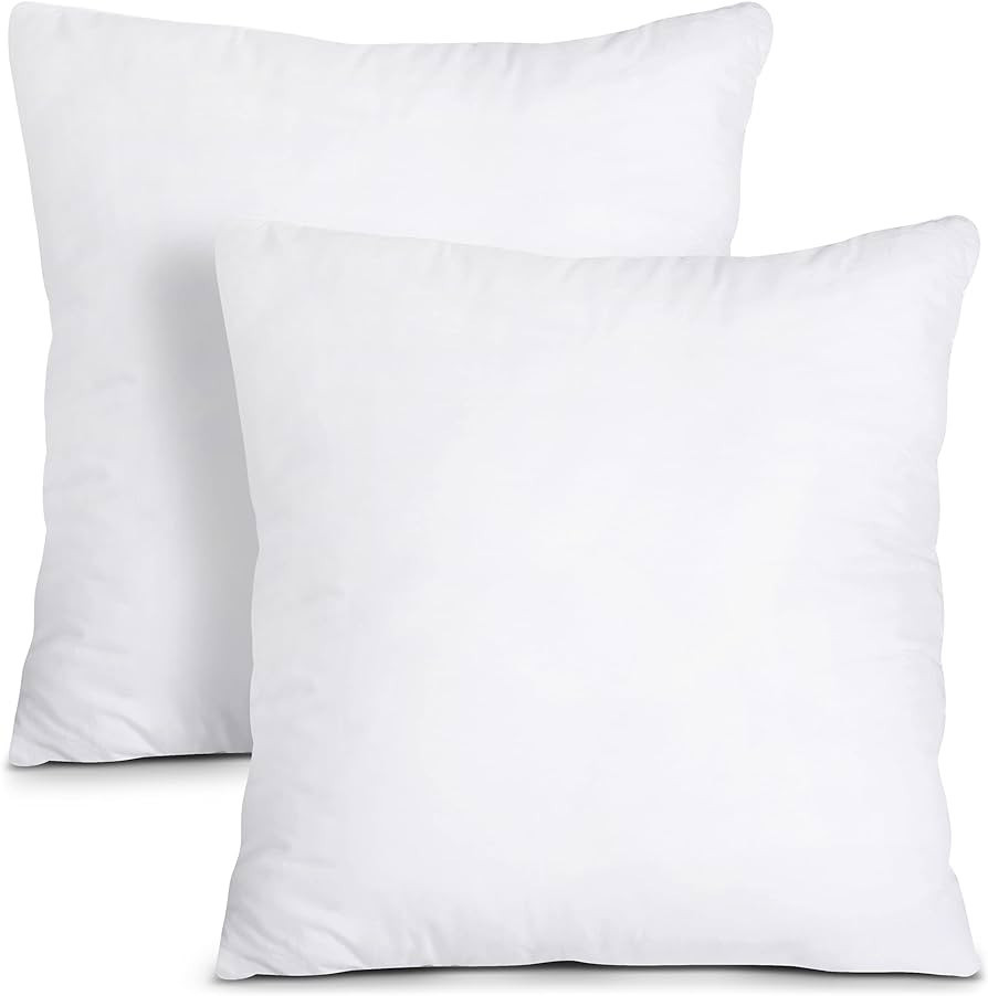 Utopia Bedding Throw Pillows Insert (Pack of 2, White) - 20 x 20 Inches Bed and Couch Pillows - I... | Amazon (US)