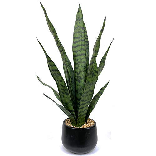 Bird Fiy Artificial Snake Plant 22.5" Faux Agave Fake Sansevieria Artificial Potted Plants for Indoor and Outdoor Home Office Décor | Amazon (US)