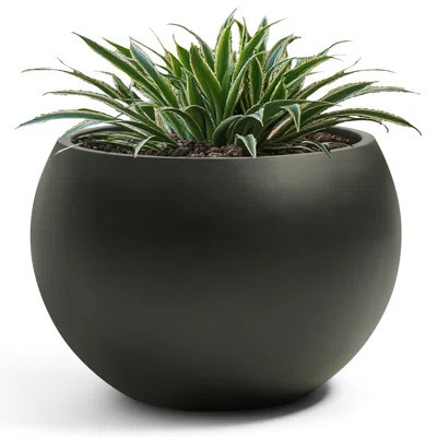 Fiberstone Sphere Planter, Dia Round Flowerpot with Drainage Hole, Large Planters for Indoor Outdoor Use, Extra Large | Wayfair North America