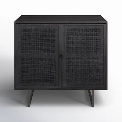 Jensi 2 Door Accent Chest | Wayfair North America