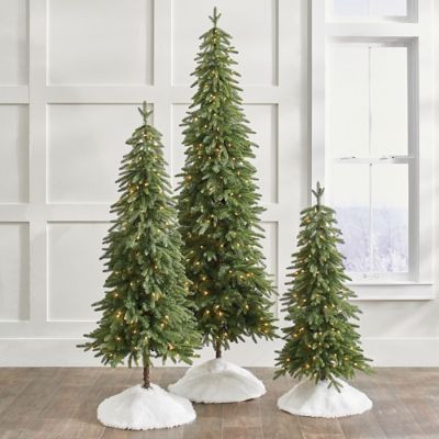 Down Swept Slim Pine Tree, Set of Three | Grandin Road