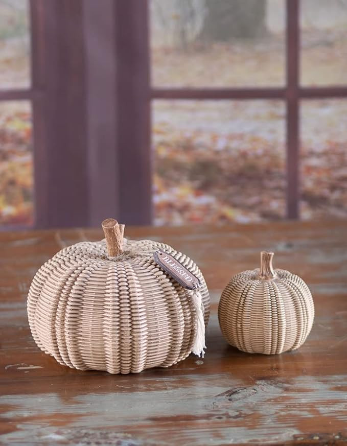 Boston International Pumpkin Décor Autumn & Fall Decorations, Large, Wicker Textured | Amazon (US)