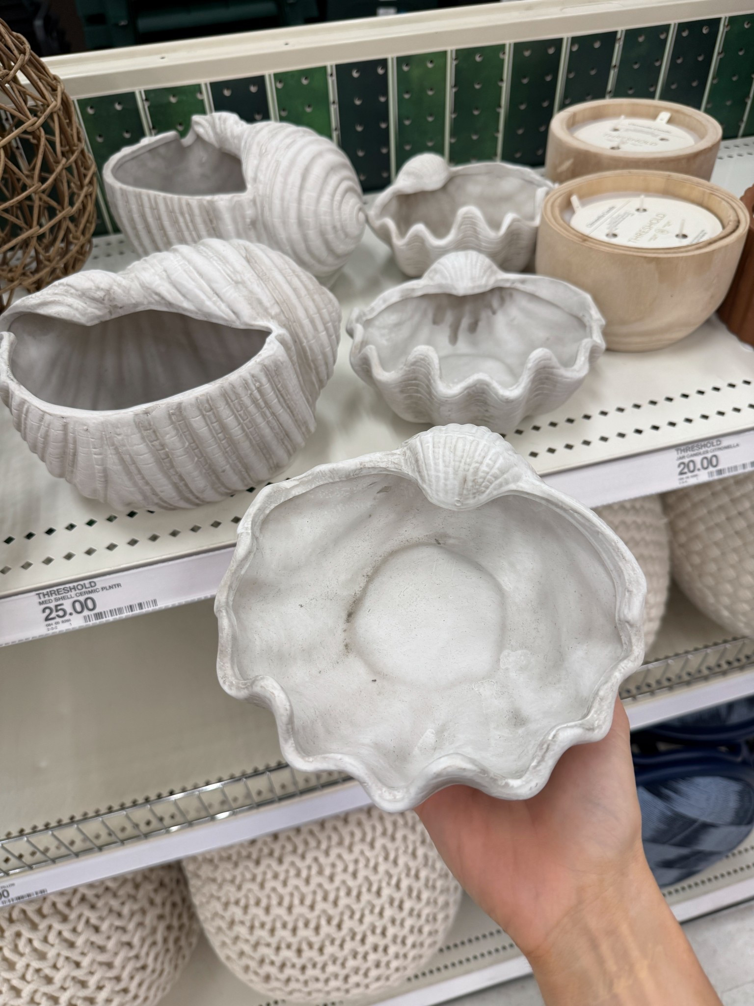 30% off shell decor at target 

#LTKHome #LTKdayinmylife